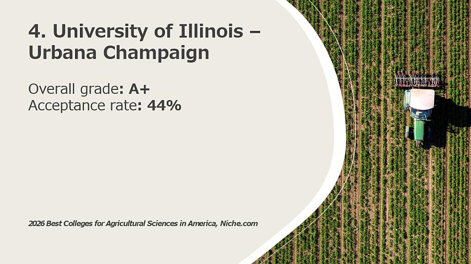4. University of Illinois — Urbana Champaign