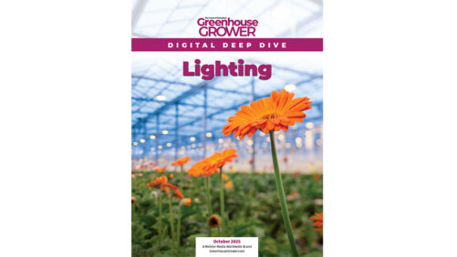 Don’t Miss Greenhouse Grower’s Digital Deep Dive on Lighting