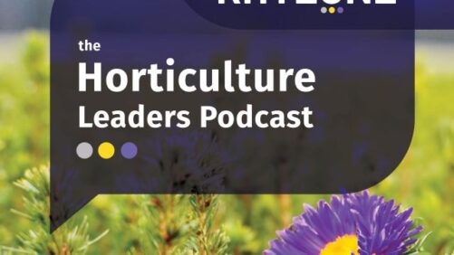 How AI Is Taking Root in Greenhouse Operations