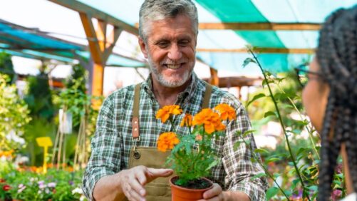 What You Can Learn from This Farewell to a Plant Companion