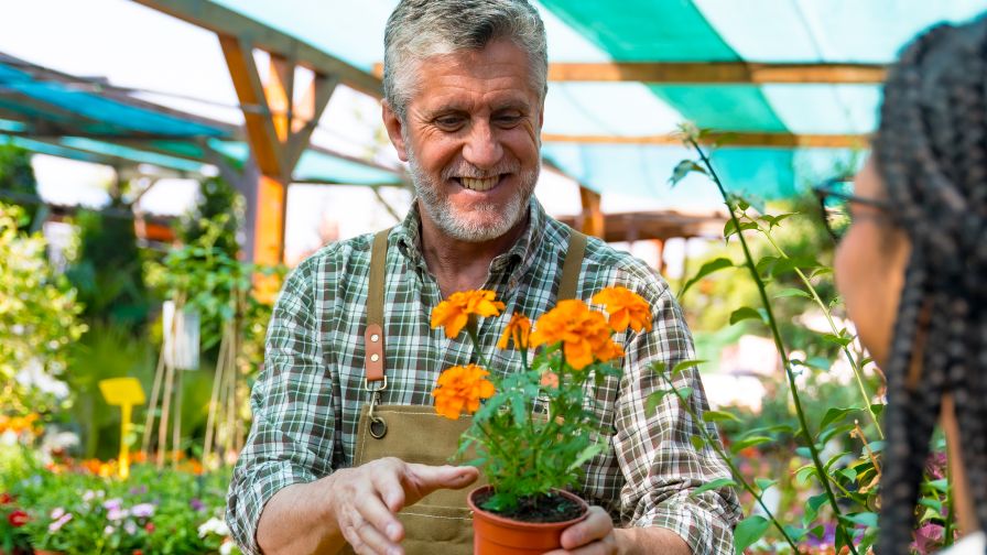 What You Can Learn from This Farewell to a Plant Companion