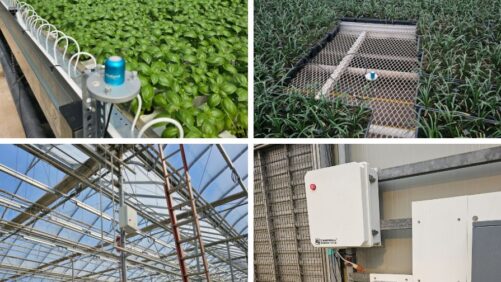 The Real-World Benefits of Advanced Lighting Controls