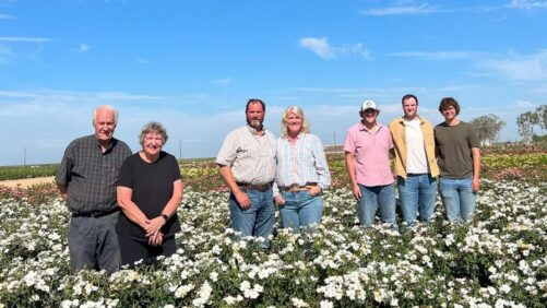 NeuHouse Farms Expands with Acquisition of Weeks Roses