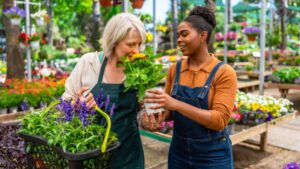 Sustainable Blooms: How Floriculture Is Adapting to Consumer Expectations