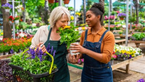 Sustainable Blooms: How Floriculture Is Adapting to Consumer Expectations