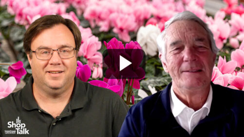 Dr. A’s Top Winter Plant Picks to Spotlight This Holiday Season