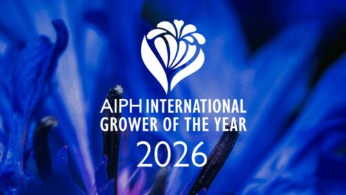 Announcing the Finalists for the 2026 AIPH International Grower of the Year Awards