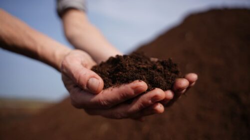 Inside Canada’s 2025 Peat Harvest: Regional Results and Supply Outlook