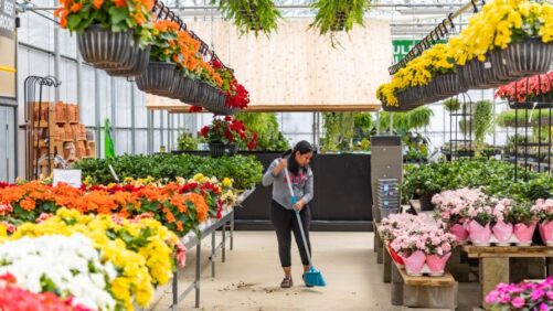 The Most Frequent OSHA Issues in Greenhouse and Nursery Operations