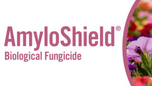 EVERYTHING YOU NEED TO KNOW ABOUT AMYLOSHIELD®