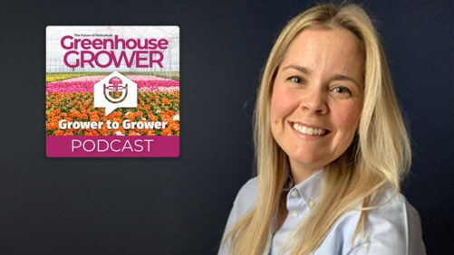 Greenhouse Grower to Grower Podcast: Alicain Carlson on This Year’s International Plant Trialing Conference