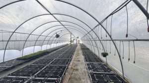 Greenhouse Equipment Auction for Virginia Nursery Set for Mid December
