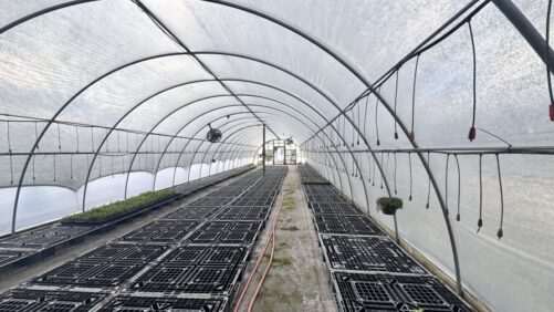 Greenhouse Equipment Auction for Virginia Nursery Set for Mid December