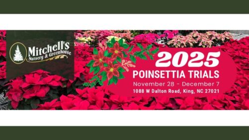 Mitchell’s Nursery’s 2025 Poinsettia Trials to Feature More Than 75 Varieties