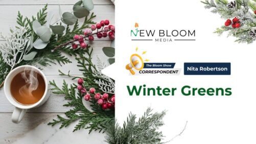 How to Style and Maintain Winter Foliage and Flowering Plants