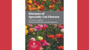 New Research Results on Sustainable Disease Management for Specialty Cut Flowers