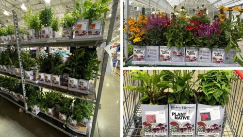 Out of the Black: The Search for Sustainable Plastic Alternatives