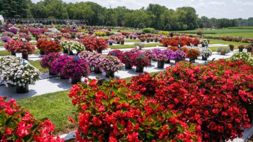 Highlights from 2025 Field Trials: Penn State