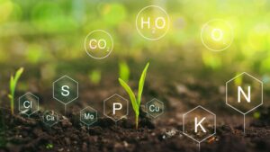 Learning Opportunity: Nutrient Management in Spring Crops