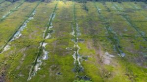 How CSPMA Members Are Managing Peatlands Responsibly