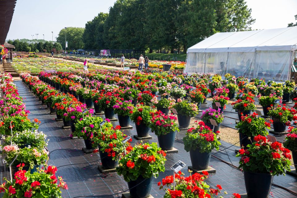 Highlights from 2025 Field Trials: Metrolina Greenhouses