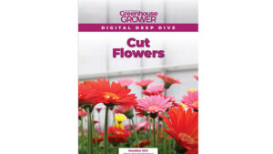 Don’t Miss Greenhouse Grower’s Digital Deep Dive on Cut Flowers