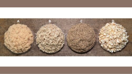 A Guide to Wood Substrates: Types, Characteristics, and Considerations