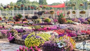 Highlights from 2025 Field Trials: Mast Young Plants