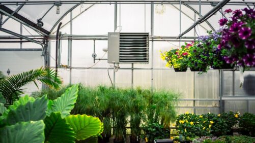 Questions About Greenhouse Heaters? Here Are Some Helpful Answers