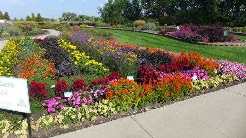 Highlights from 2025 Field Trials: North Dakota State University