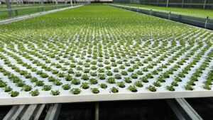 Moving Gutter Systems