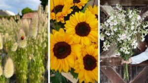 What’s New, Next, and Trending in Cut Flowers?