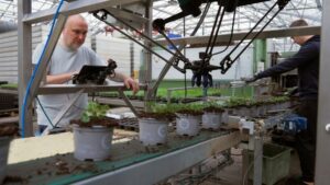 4XROBOTS Prepares for Greenhouse Automation Expansion in the U.S.