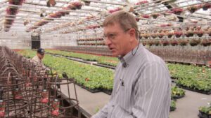 Introducing the Royal Heins International Floriculture Research Scholarship