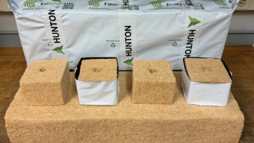 A Guide to Wood Substrates: Global Manufacturing Products and Producers