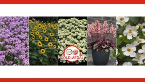 Video Spotlight: Fleuroselect’s 2026 Gold Medal Winners