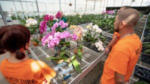 How to Create Clear Career Pathways in Horticulture