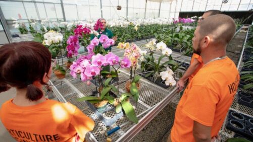 How to Create Clear Career Pathways in Horticulture