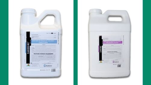 Introducing Sandrine™ Copper Soap and Cintro™ Insecticidal Soap