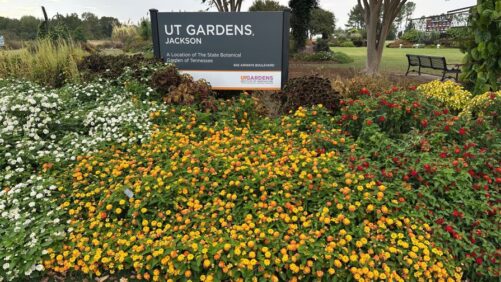 Highlights from 2025 Field Trials: West TN AgResearch and Education Center