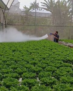 Mobile-Mee IPM Sprayer (MeeFog)