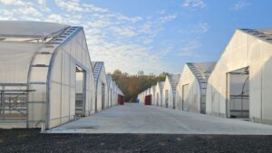 Growers and Suppliers Strengthen Partnerships on Greenhouse Projects