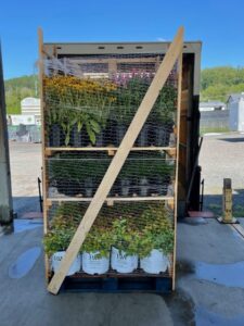 One-Way Rack Shipping (The Perennial Farm)