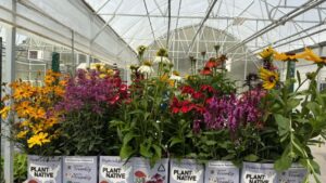 New Technology on Display at MANTS 2026