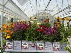 Plant-IT-Friendly (Air Tray Technologies By Blackmore Co)