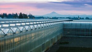 Breaking: Smith Gardens Acquired by Hoffmann Family of Companies