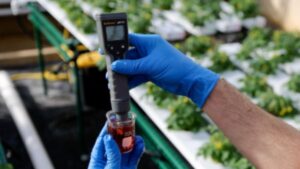 15 Scientific Terms Every Greenhouse Grower Should Know