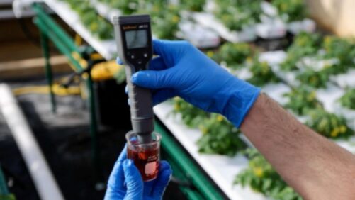 15 Scientific Terms Every Greenhouse Grower Should Know