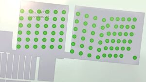 AI-Powered Sticky Card Analysis Trialed at Michael’s Greenhouses