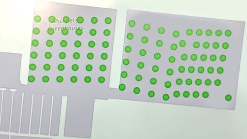 AI-Powered Sticky Card Analysis Trialed at Michael’s Greenhouses